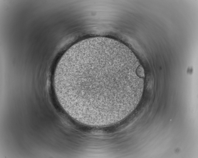 X0000103160685200809192054
