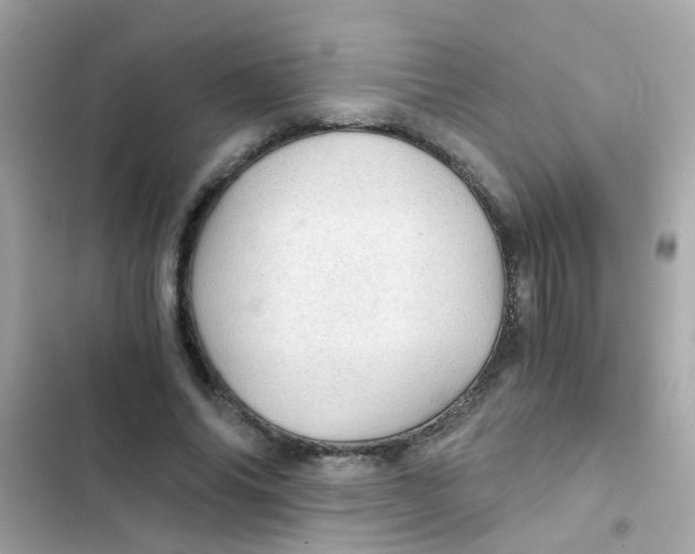 X0000103160686200809192054