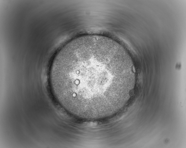 X0000103160687200809192054