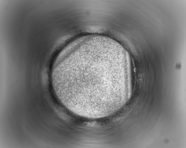 X0000103160688200809192054