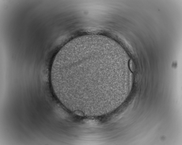 X0000103160689200809192054