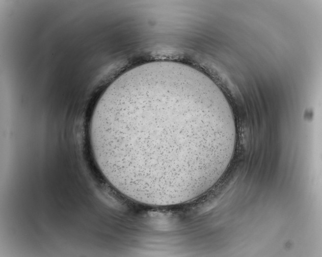 X0000103160690200809192054