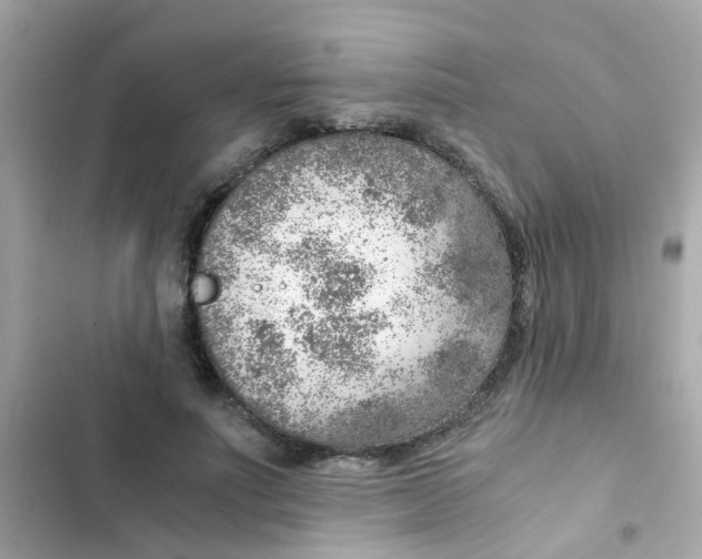 X0000103160691200809192054