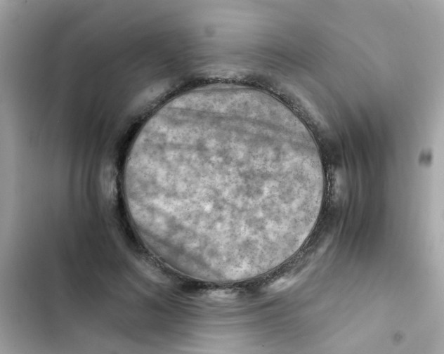 X0000103160692200809192054
