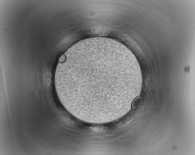 X0000103160693200809192054