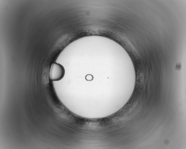 X0000103160694200809192054