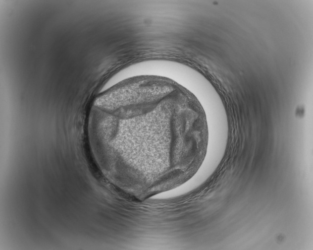 X0000103160695200809192054