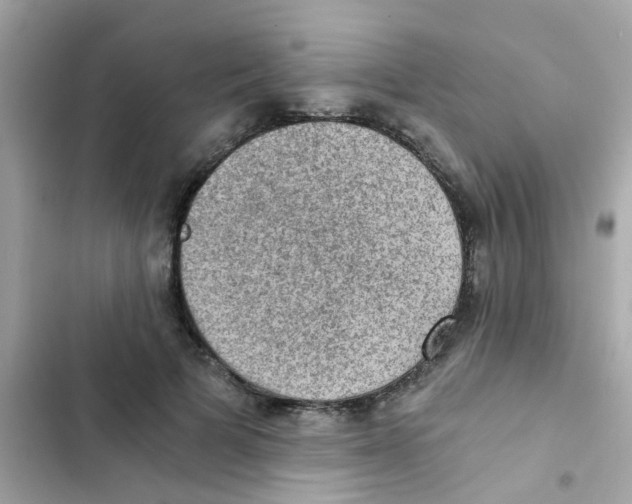 X0000103160697200809192054