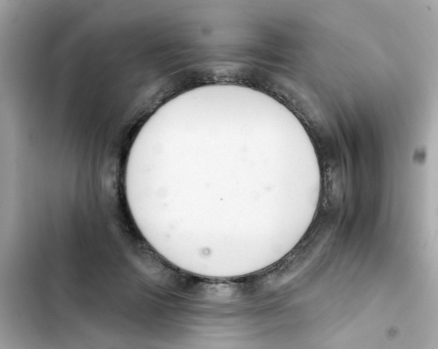 X0000103160698200809192054