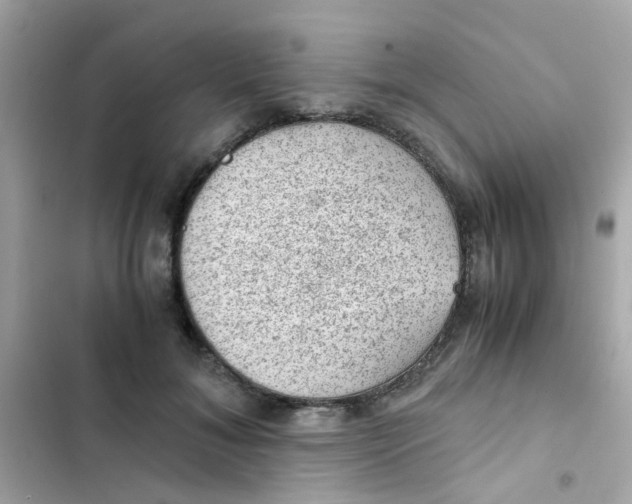 X0000103160700200809192053
