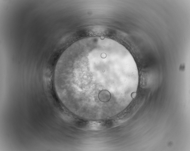 X0000103160701200809192053