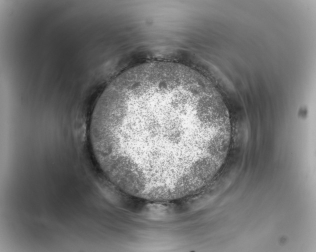 X0000103160703200809192053