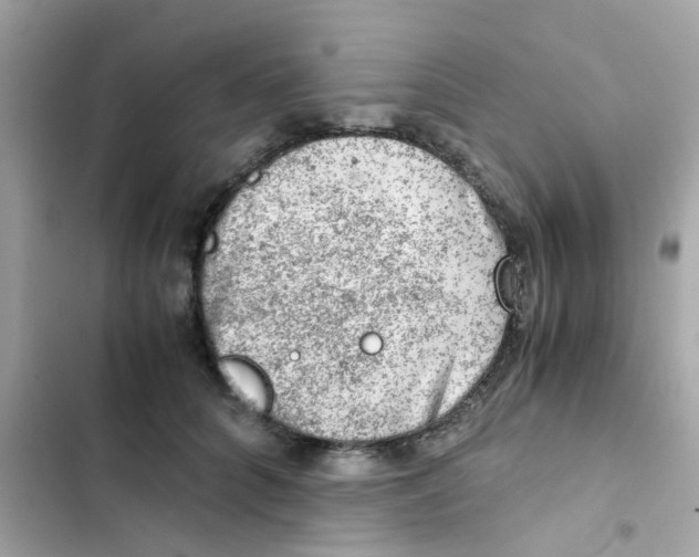 X0000103160704200809192053
