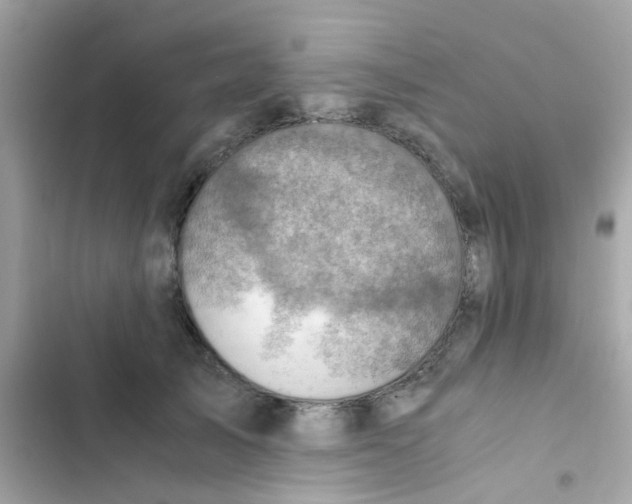 X0000103160705200809192053