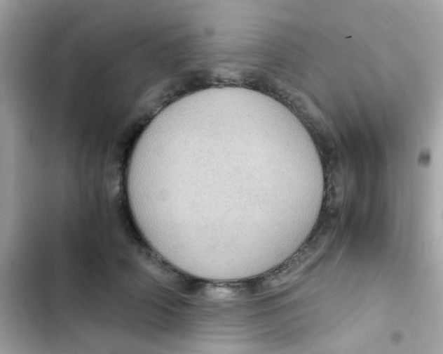 X0000103160706200809192053