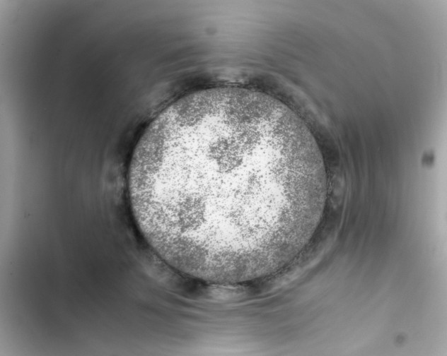 X0000103160707200809192053