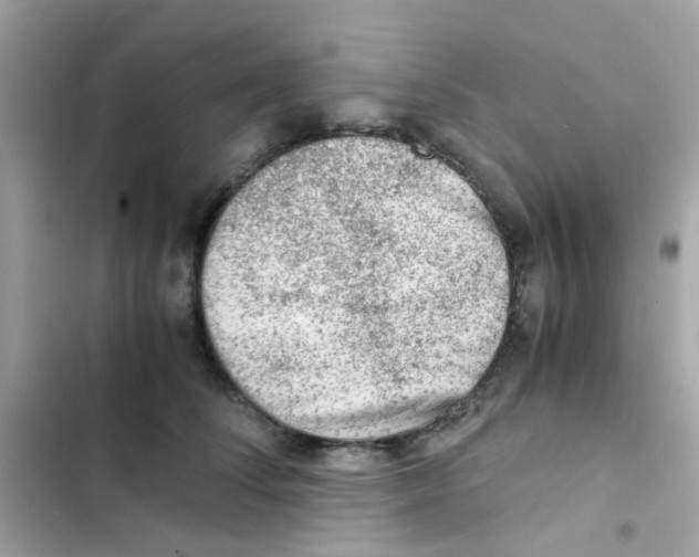 X0000103160708200809192053