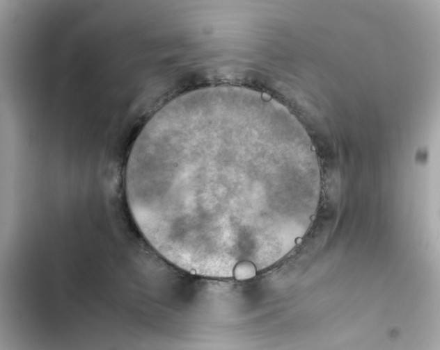 X0000103160709200809192053