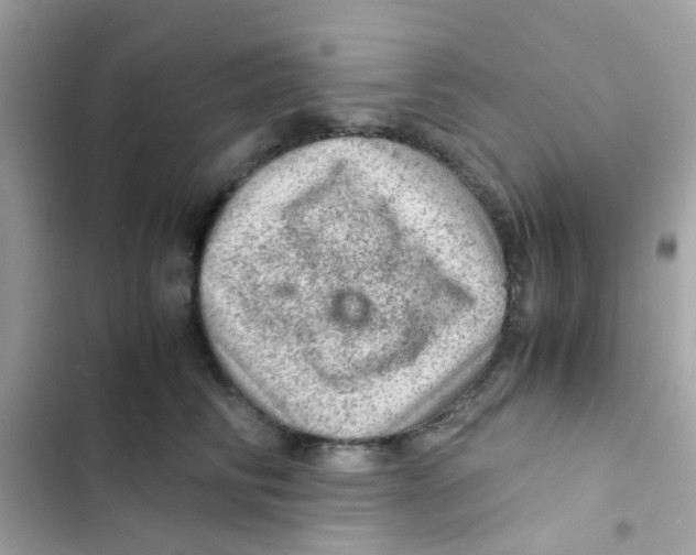 X0000103160710200809192053