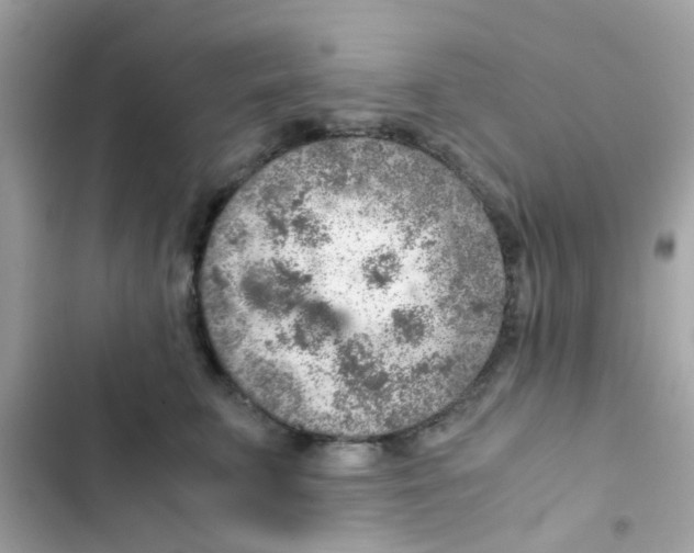 X0000103160711200809192053