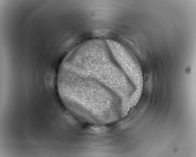 X0000103160712200809192053