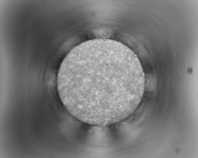 X0000103160713200809192053