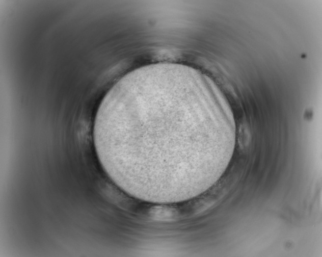 X0000103160714200809192053