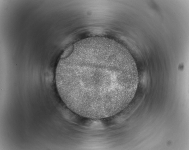 X0000103160715200809192053