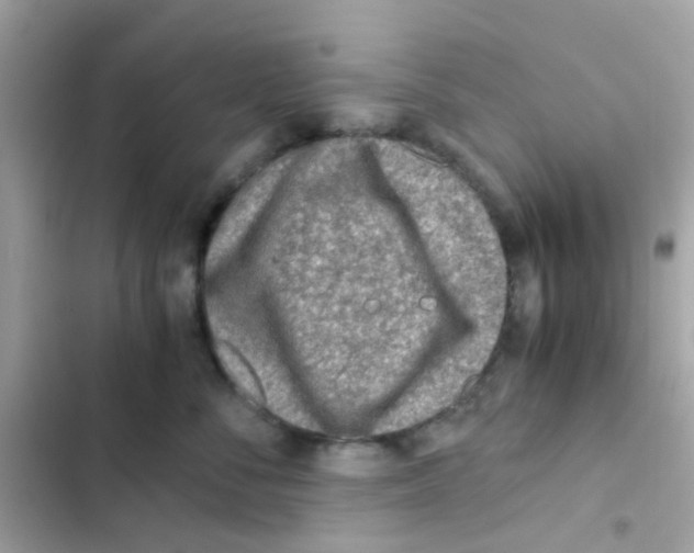 X0000103160716200809192053