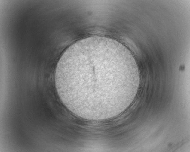 X0000103160717200809192053