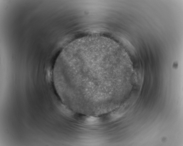 X0000103160718200809192053