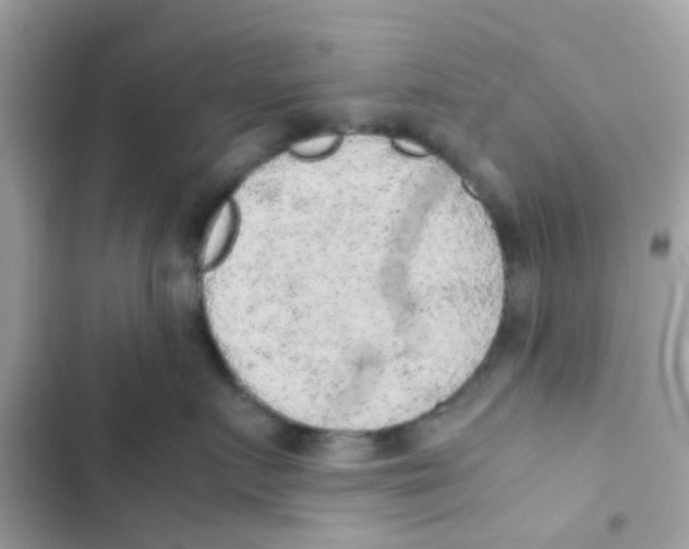 X0000103160719200809192053