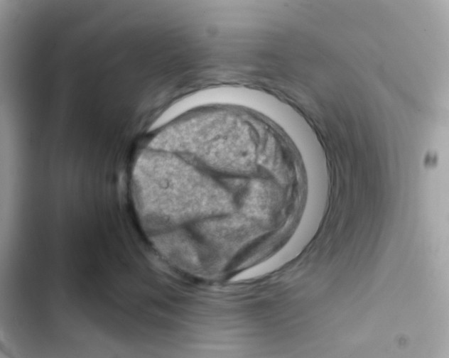 X0000103160720200809192053
