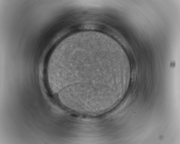 X0000103160722200809192053