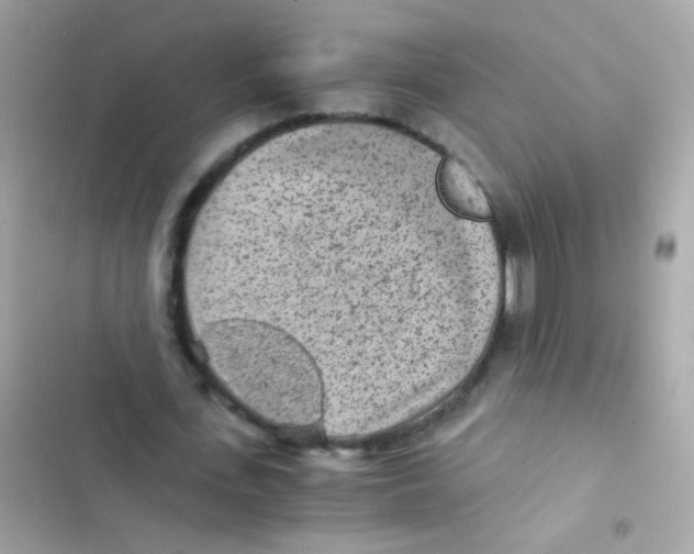 X0000103160723200809192053