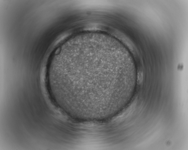 X0000103160724200809192053