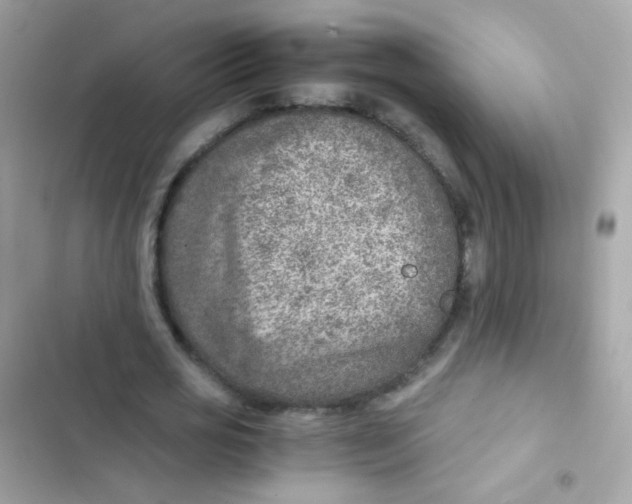 X0000103160725200809192053