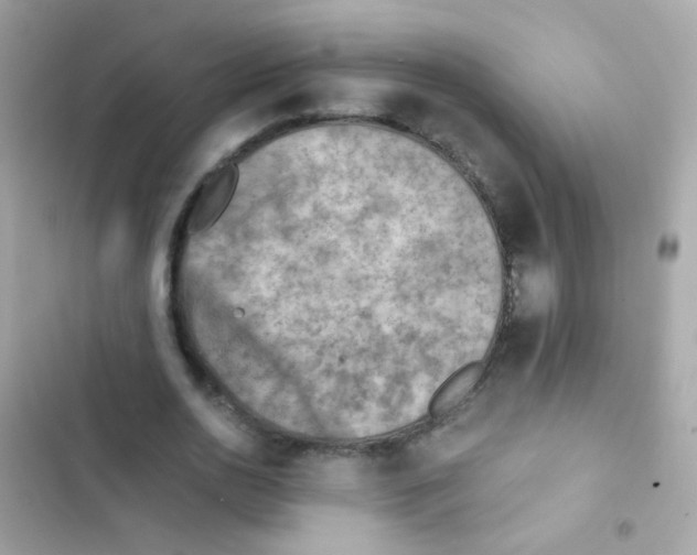 X0000103160726200809192053