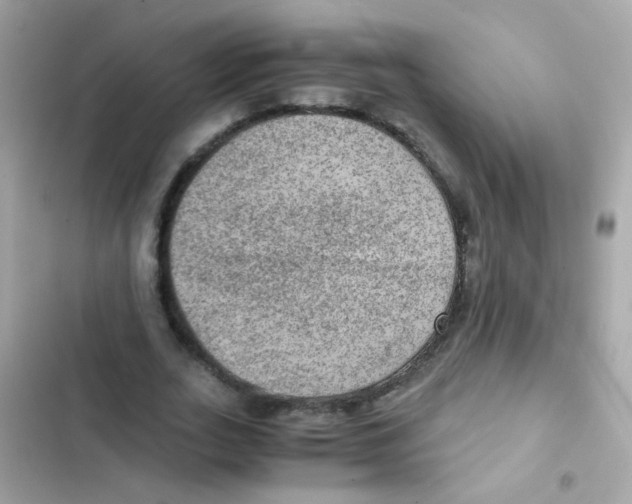 X0000103160727200809192053
