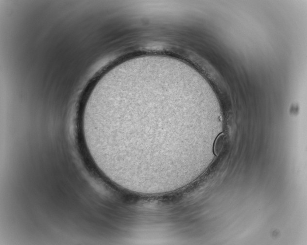 X0000103160728200809192053