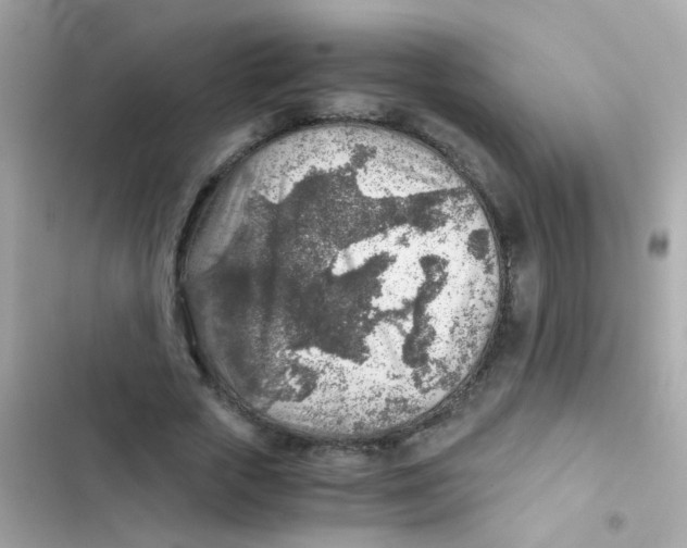 X0000103160729200809192053