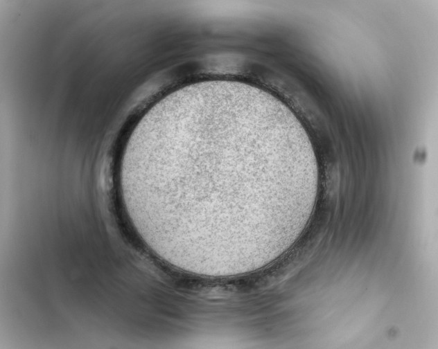X0000103160731200809192053