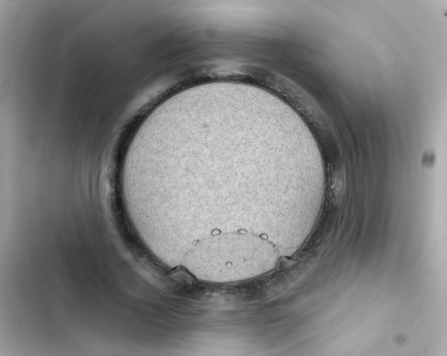 X0000103160732200809192053