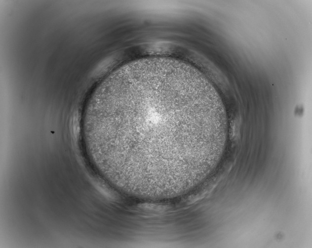 X0000103160733200809192053