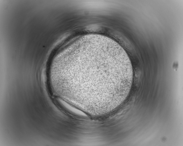 X0000103160734200809192053