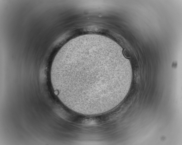 X0000103160735200809192053