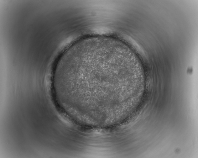 X0000103160736200809192053