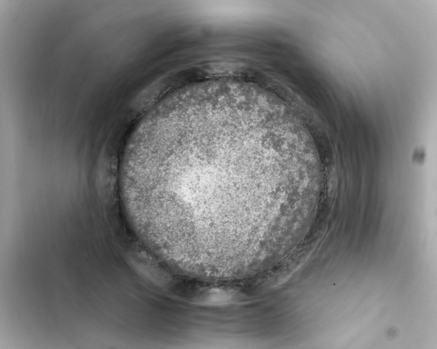 X0000103160737200809192053