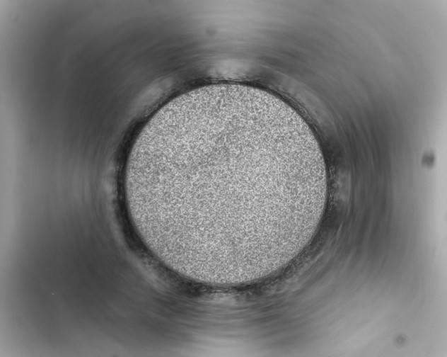 X0000103160738200809192053