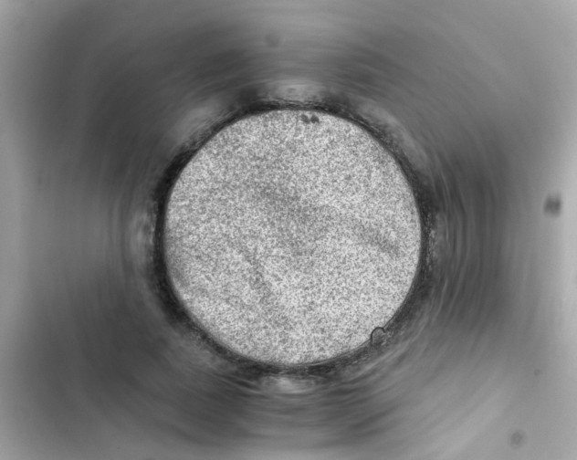 X0000103160739200809192053